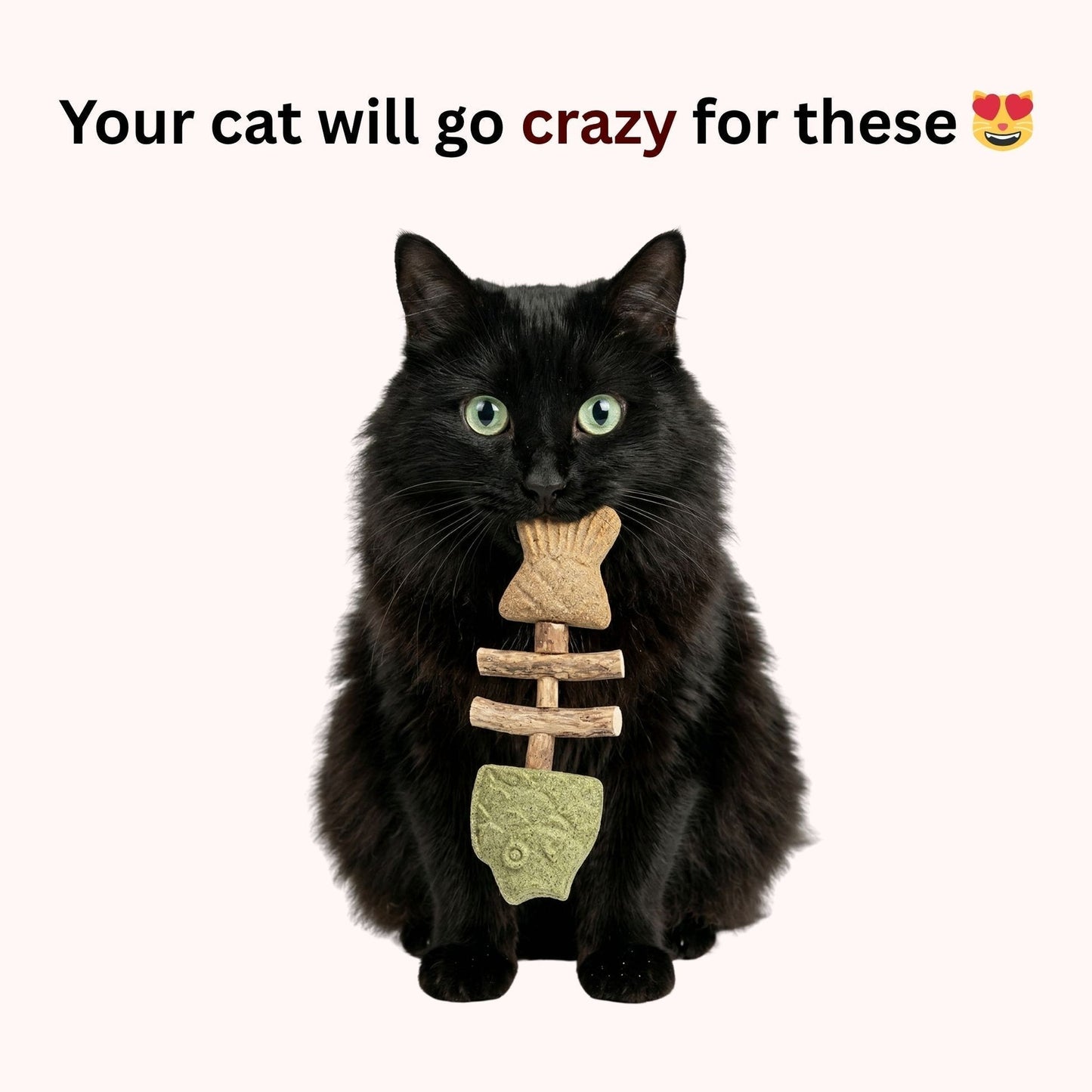 Let Your Cat Brush Their Own Teeth! š¦·š±Catnip & Silvervine Chew (Buy 1 Get 1 FREE)