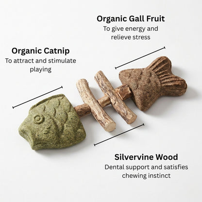 Let Your Cat Brush Their Own Teeth! 🦷🐱Catnip & Silvervine Chew (Buy 1 Get 1 FREE)