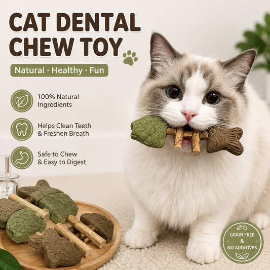 Let Your Cat Brush Their Own Teeth! 🦷🐱Catnip & Silvervine Chew (Buy 1 Get 1 FREE)
